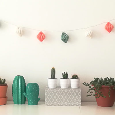 The trendy indoor plants in 2017