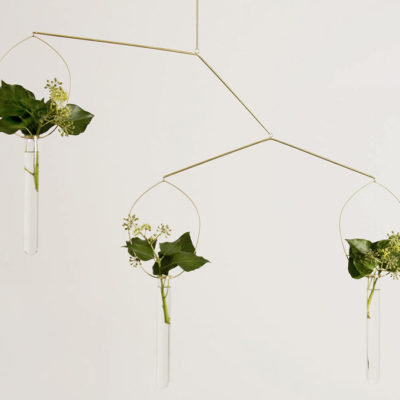 The poetry of single flower vases